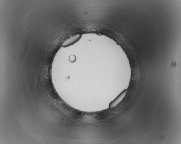 X0000114010560200911131207