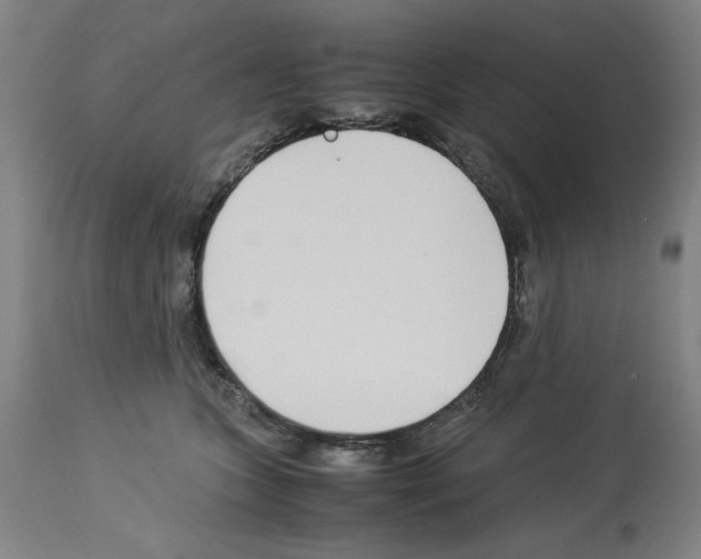X0000114010563200911131207