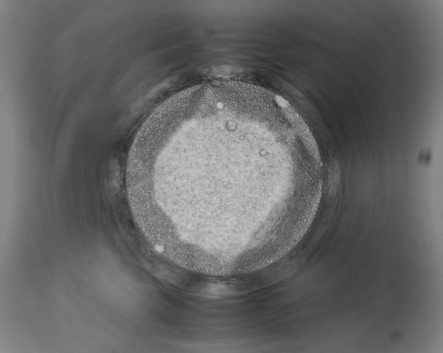 X0000114010569200911131207