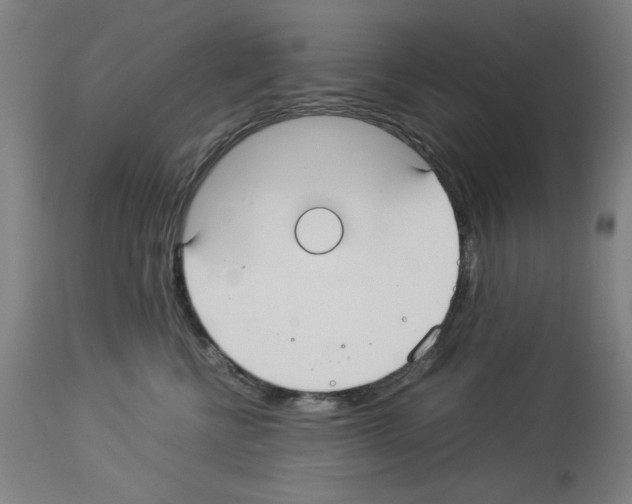 X0000114010570200911131207