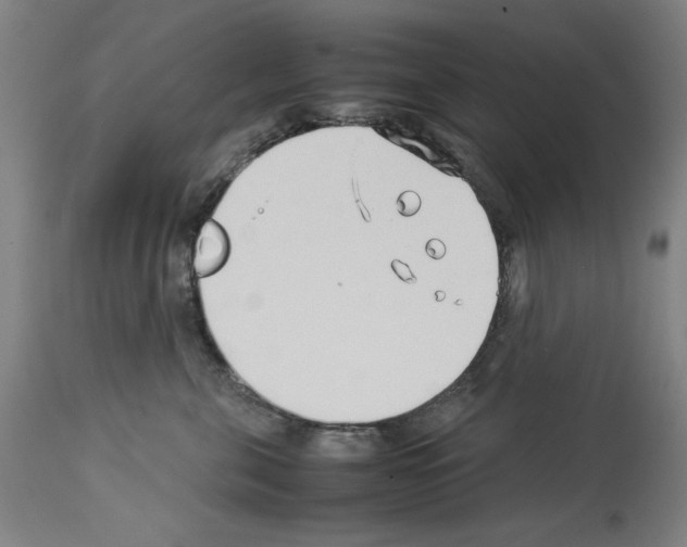 X0000114010571200911131207
