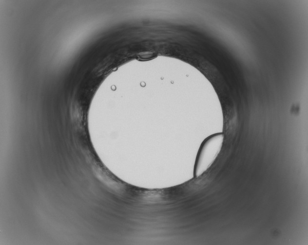 X0000114010574200911131207