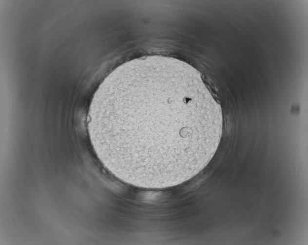 X0000114010575200911131207