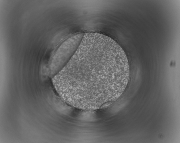X0000114010576200911131207