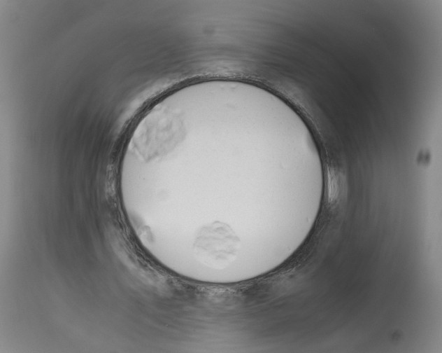 X0000114010579200911131206