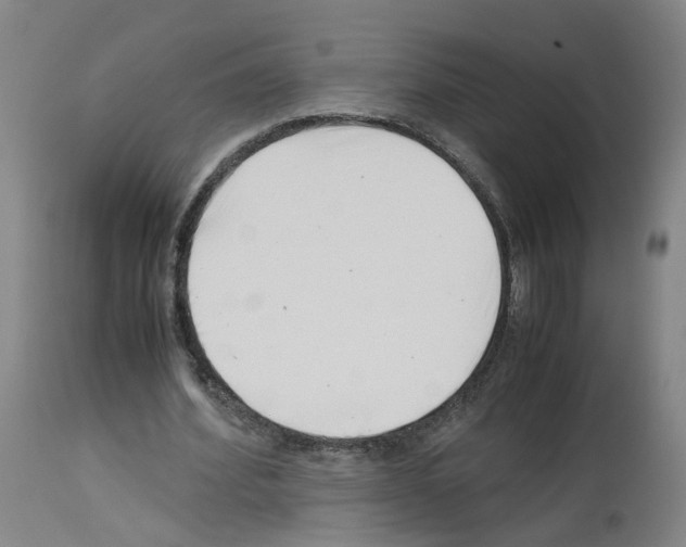 X0000114010580200911131206