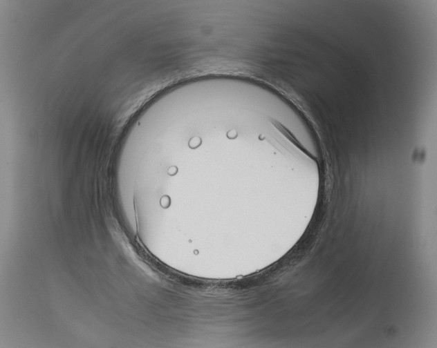X0000114010581200911131206