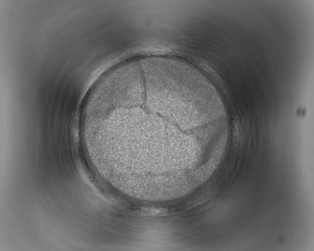 X0000114010582200911131206