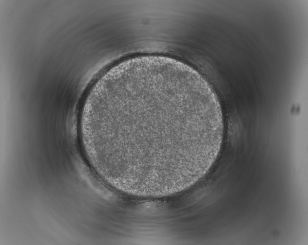X0000114010584200911131206