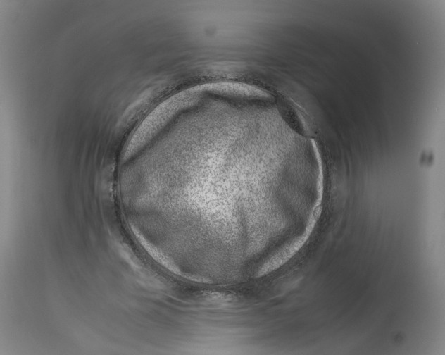X0000114010585200911131206