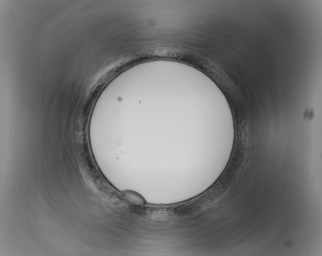 X0000114010587200911131206