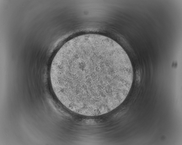 X0000114010588200911131206