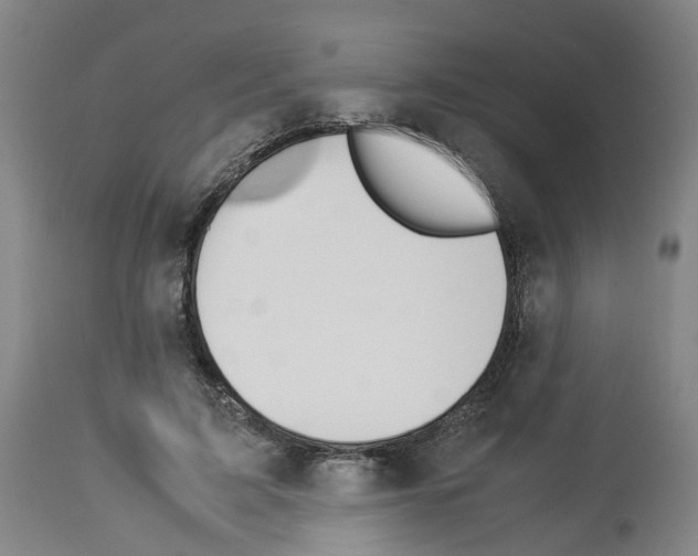 X0000114010595200911131206