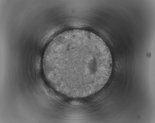 X0000114010596200911131206