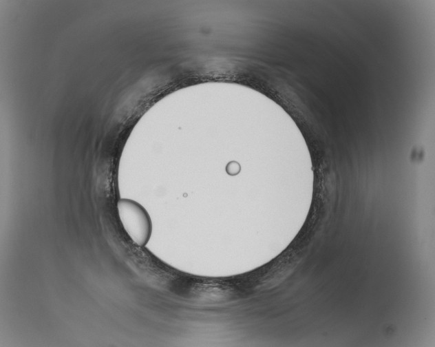 X0000114010597200911131206