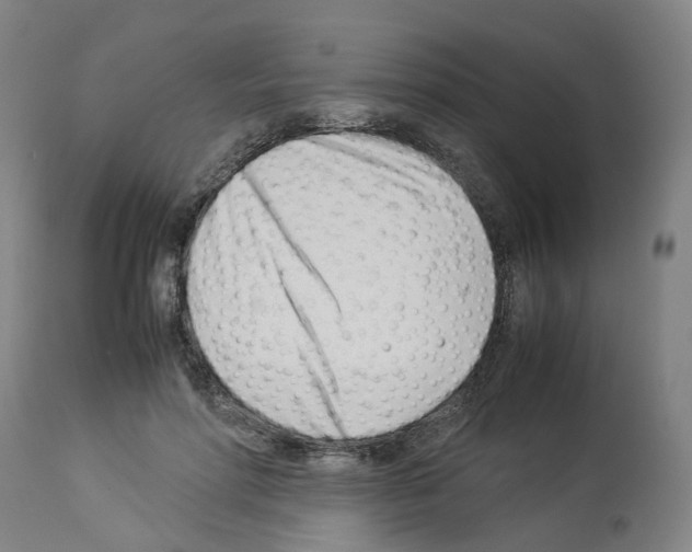 X0000114010598200911131206