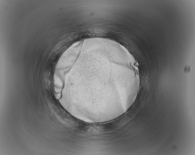 X0000114010599200911131206