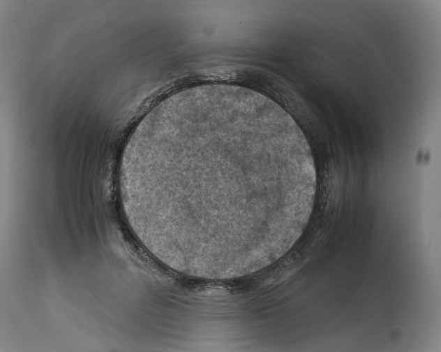 X0000114010600200911131206