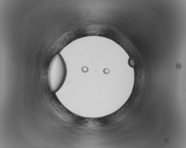 X0000114010601200911131206
