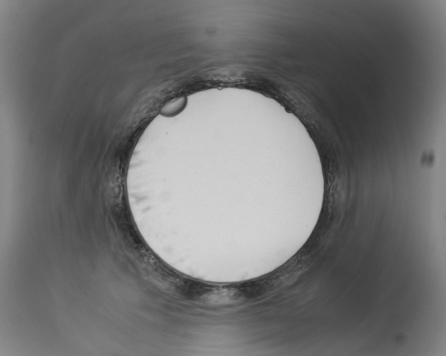 X0000114010609200911131206