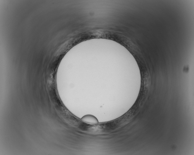 X0000114010611200911131206