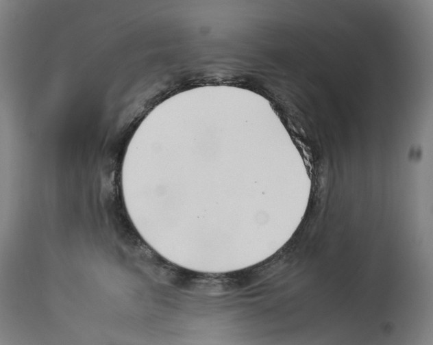 X0000114010615200911131206