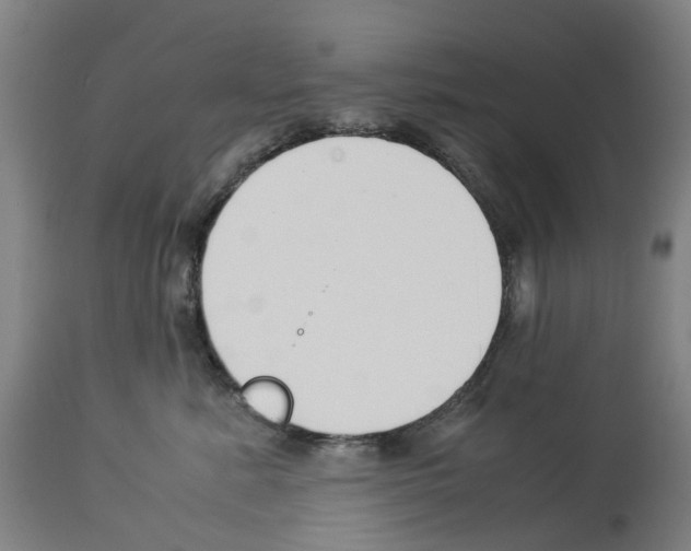 X0000114010619200911131206