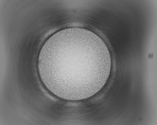 X0000114010625200911131204