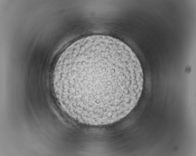 X0000114010626200911131204