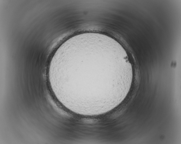 X0000114010629200911131205