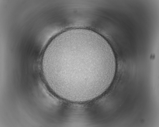 X0000114010632200911131205