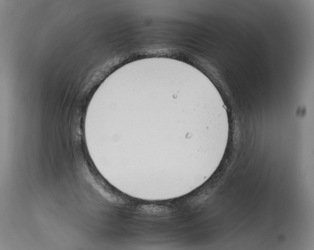 X0000114010633200911131205