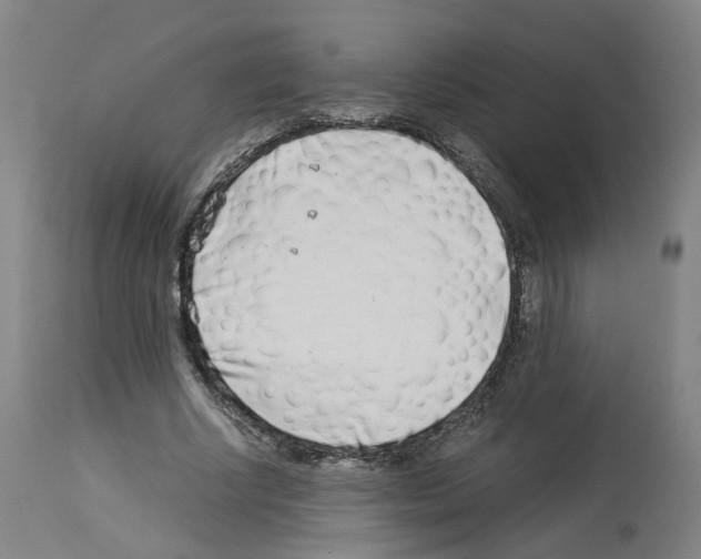 X0000114010634200911131205