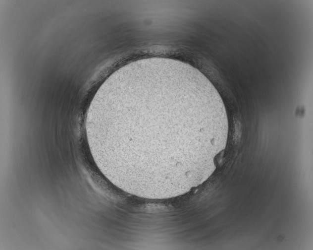 X0000114010636200911131205
