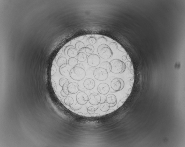 X0000114010638200911131205