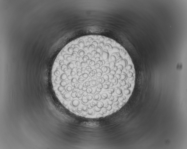 X0000114010639200911131205