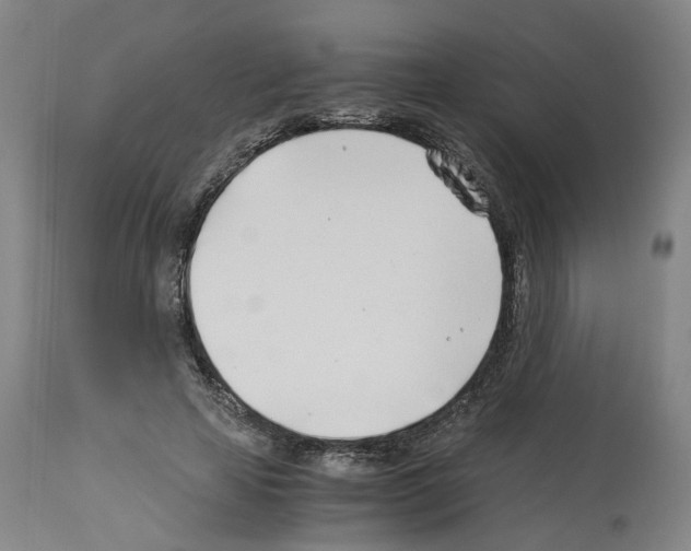 X0000114010641200911131205
