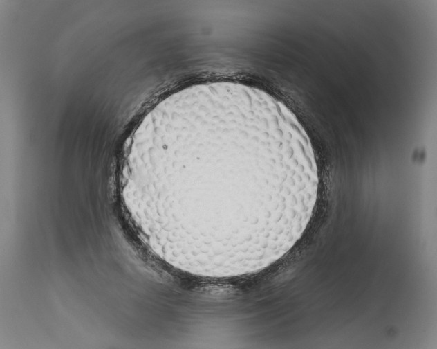 X0000114010642200911131205