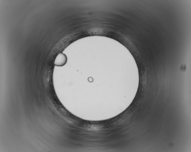 X0000114010645200911131205