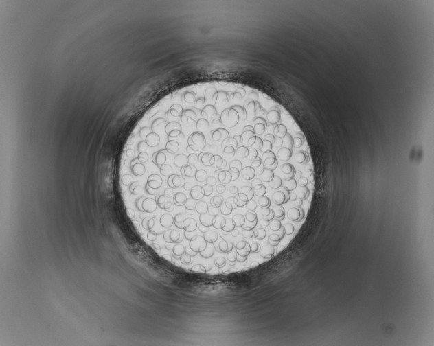 X0000114010646200911131205