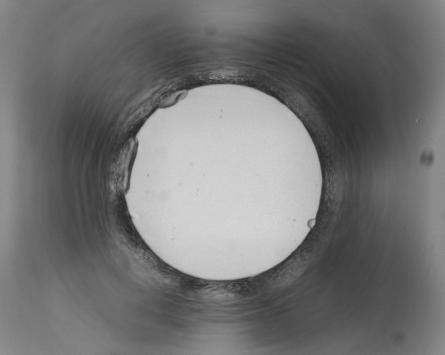 X0000114010648200911131205
