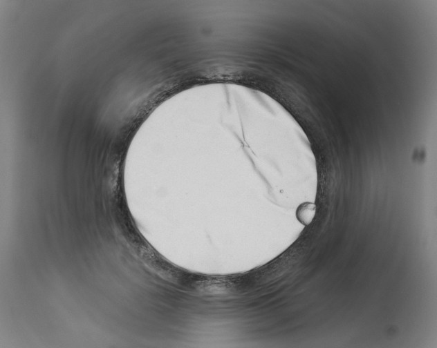 X0000114010652200911131205