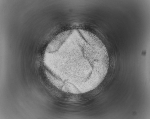 X0000114010659200911131205