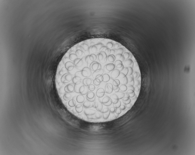 X0000114010662200911131205