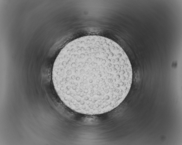 X0000114010666200911131205