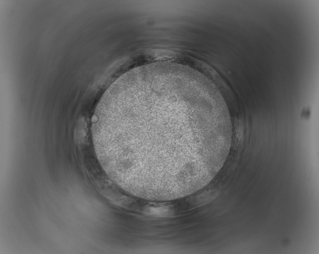 X0000114010667200911131205