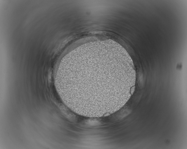 X0000114010668200911131205