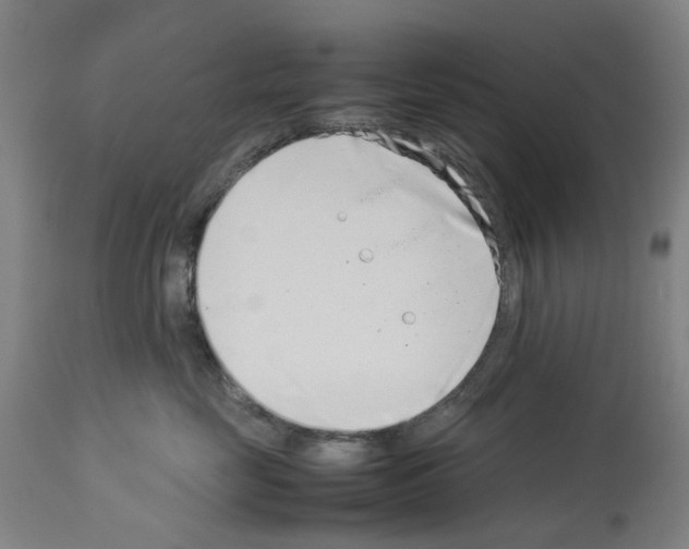 X0000114010669200911131205