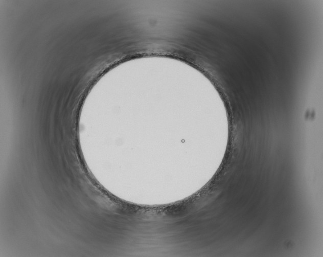 X0000114010673200911131204