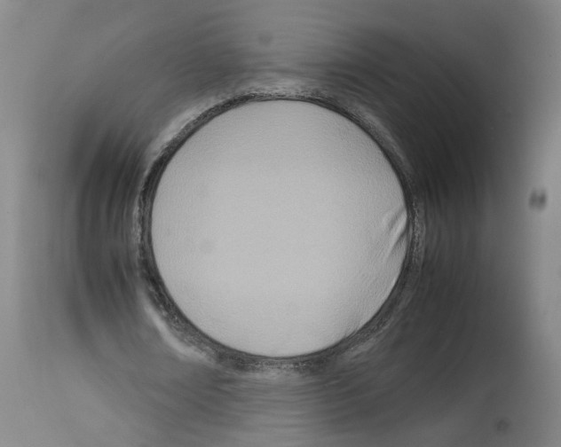 X0000114010674200911131204
